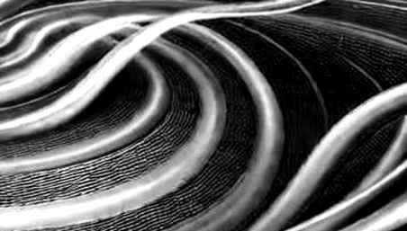The Soul of Clarity: When the Crypto Clarity Act Becomes a Political Ghost